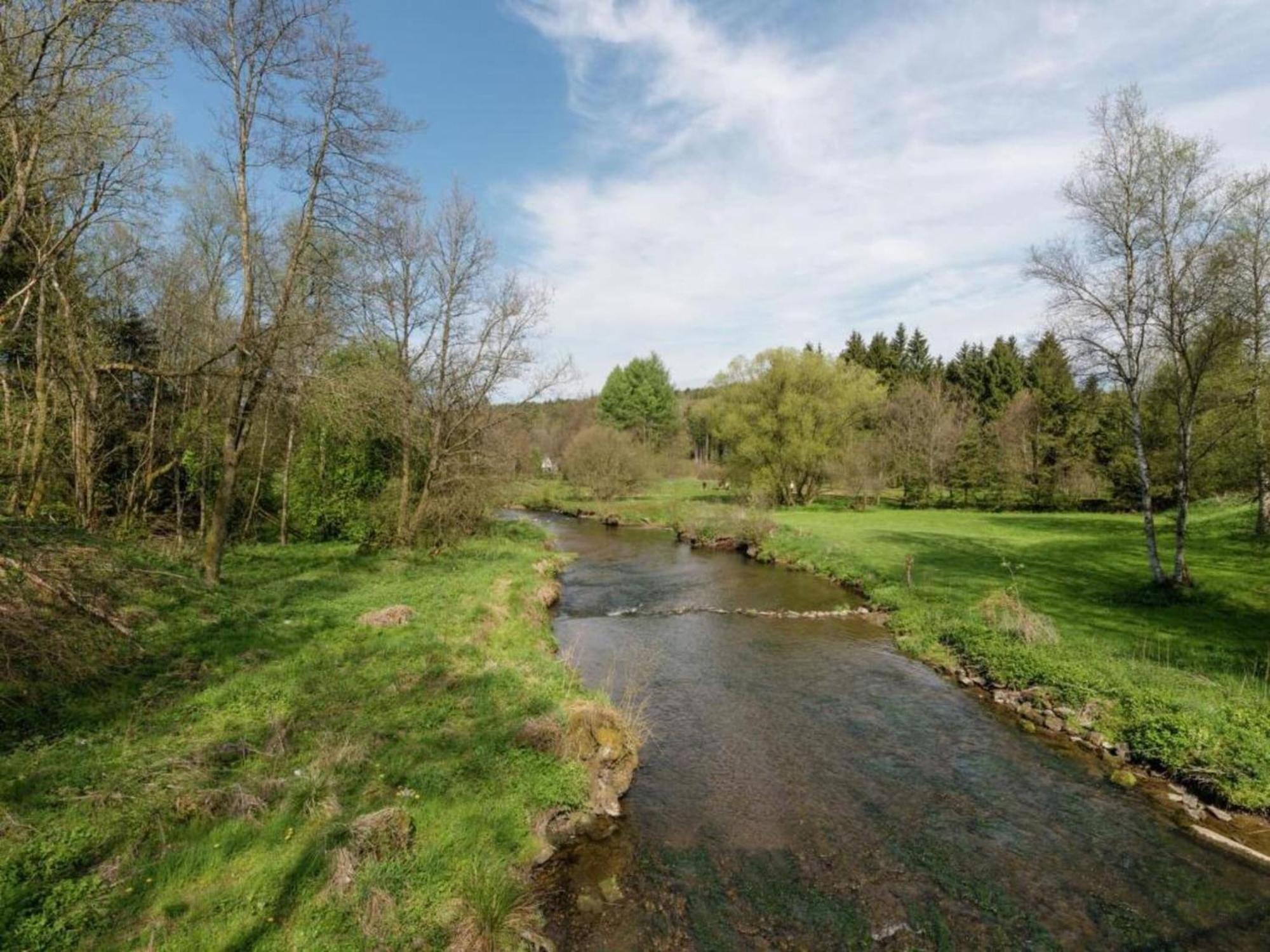 Comfy Holiday Home In Burg Reuland With Sauna Terrace Bbq Bagian luar foto